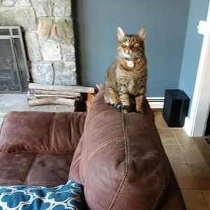 Meet your Posher, Mike